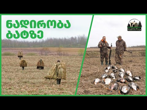 ნადირობა ბატზე – ბელარუსი