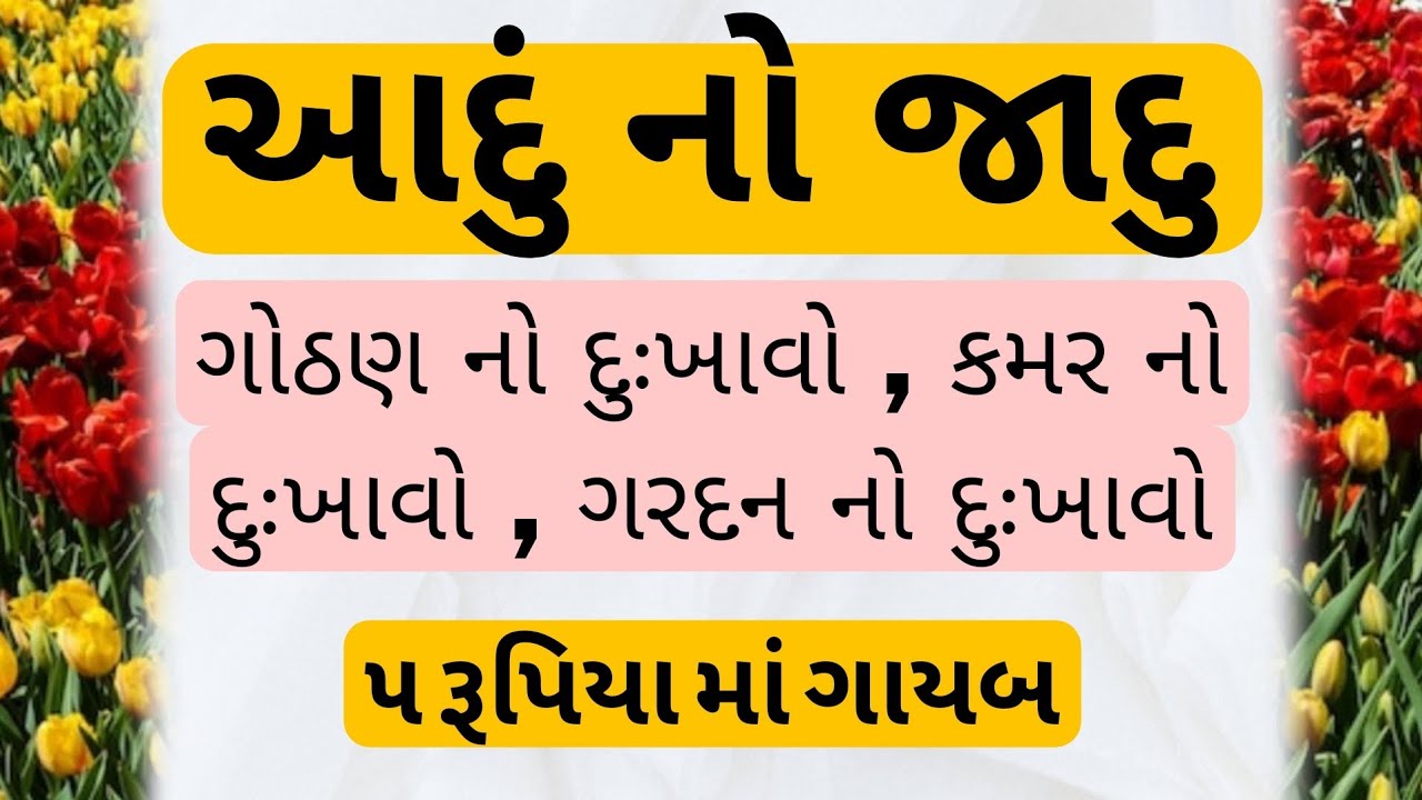 દુઃખાવો બાય બાય! આદૂનો જાદૂ – સાંધાનો, કમરનો, ઘૂંટણનો દુખાવો થશે ગાયબ | Ginger Benefits | Ayurvedic
