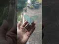 Hmmm yes moths