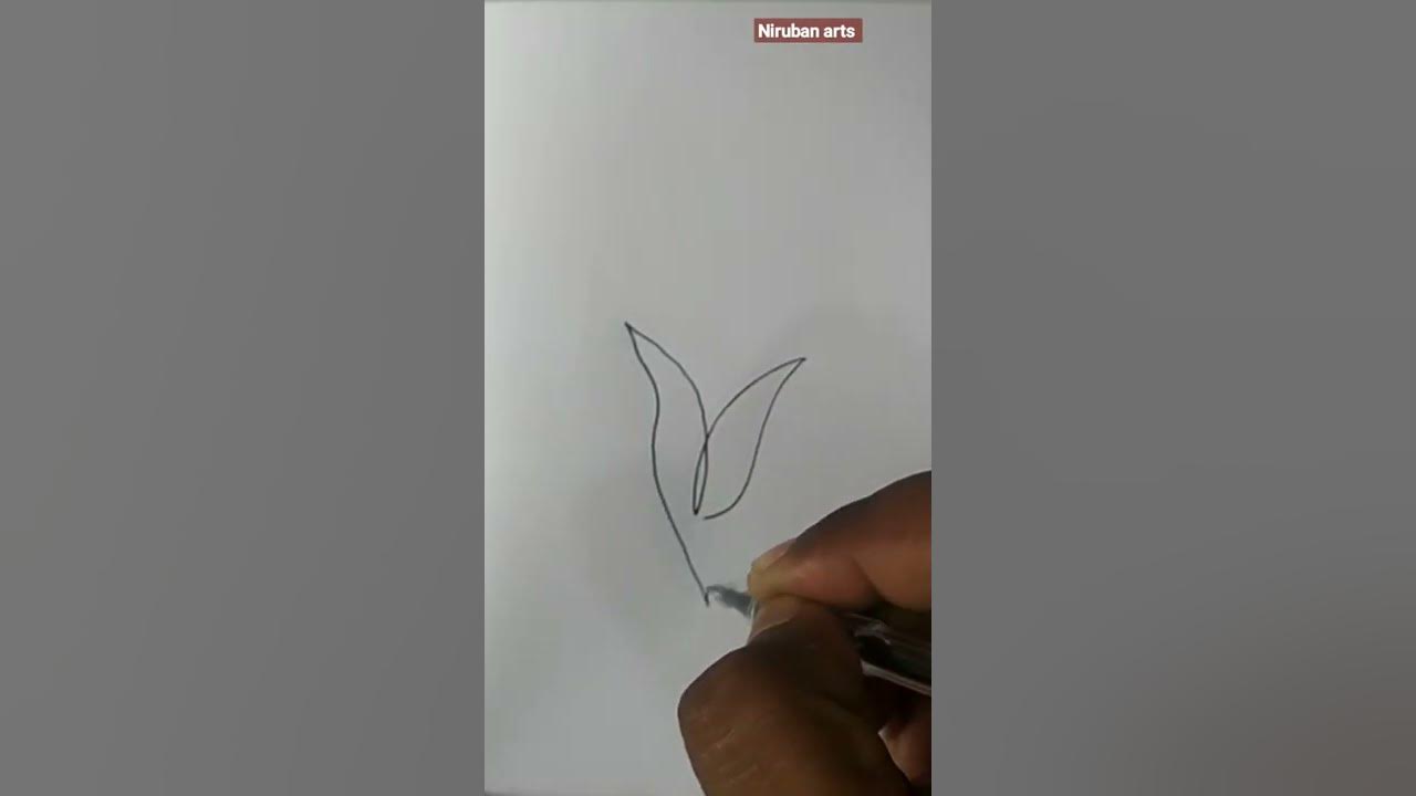 one stroke drawing satisfying pen art single stroke drawing one