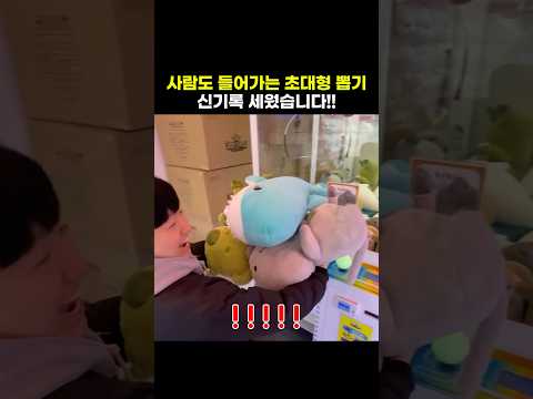 <strong>사람도</strong> 들어가는 초대형 뽑기 신기록 세웠습니다!! #shorts #인형뽑기 #뽑기