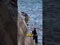 Dog Trapped on a Wave-Hit Cliff… What They Did Next Saved Them Both #shorts