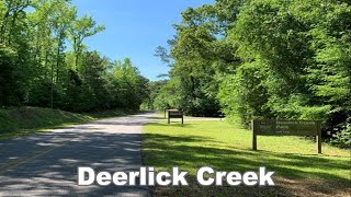Deerlick Creek Campground is on Holt Lake and Black Warrior Tombigbee Waterway NE of Tuscaloosa, Al by Assistant Prepper 167 views 1 year ago 5 minutes, 26 seconds