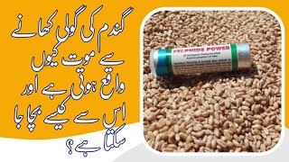 wheat pill poisoning and its management in urdu ||@drrafiqmalik