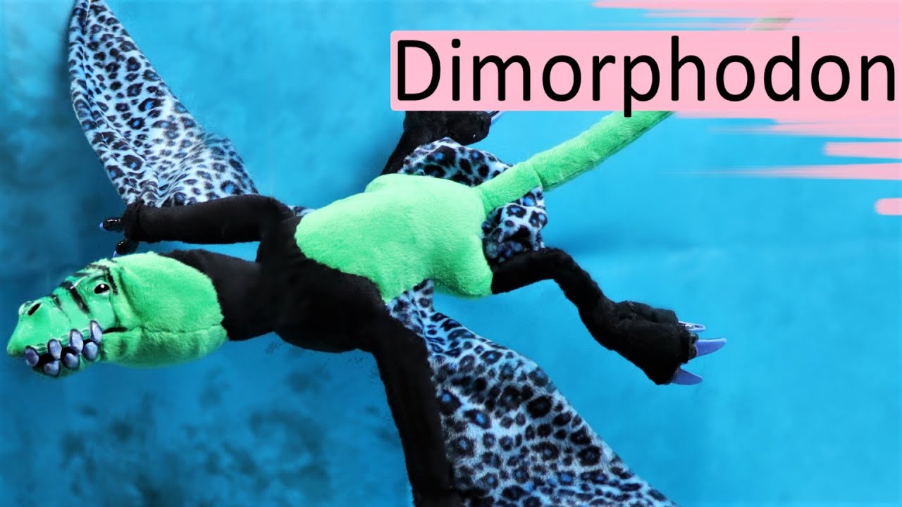 Making Dimorphodons || Posable ArtDoll Tutorial
