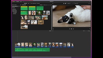 Tutorial: Combining Images, Videos, and Audio with iMovie