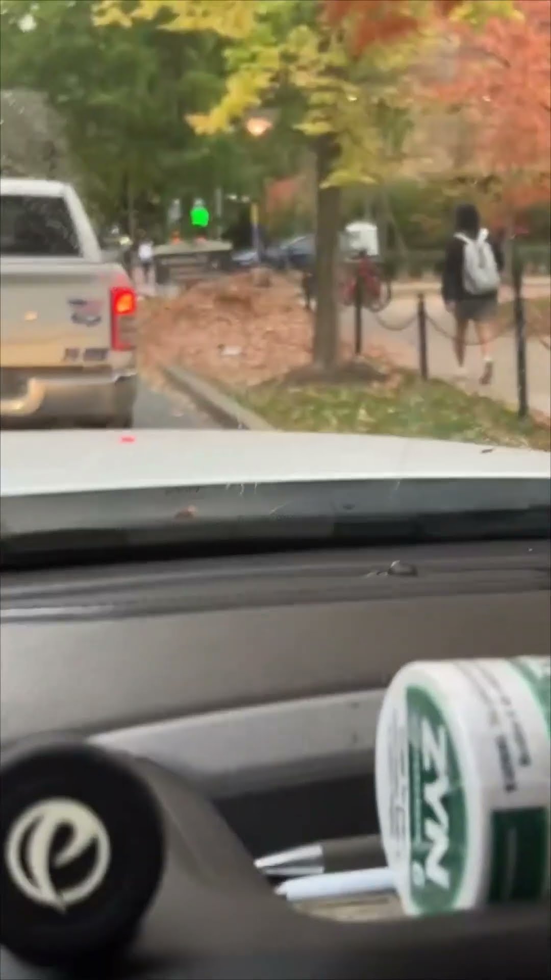 Man Hilariously Leaps into a Giant Pile of Leaves with Joy
