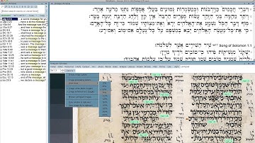 BibleWorks 10 New Features: Leningrad Codex images and text