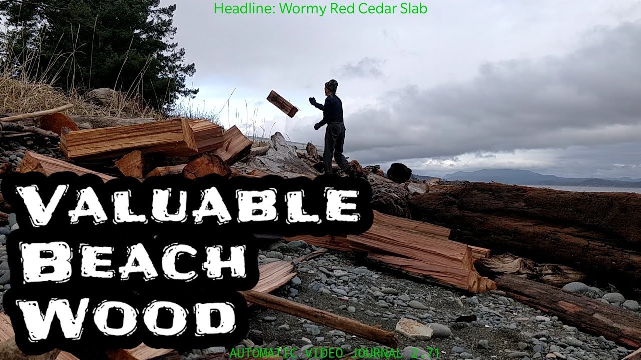 How to Salvage Valuable Wood from Any Beach - Campbell River BC Canada - Red Cedar Tonewood Billets