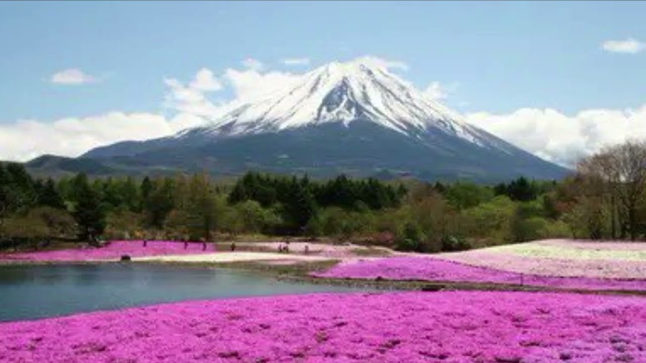 Relax with traditional music: Calm