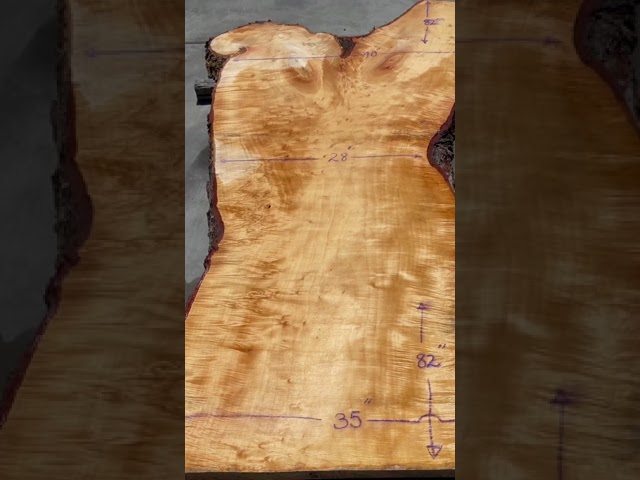 Curly Maple Live Edge Slab #5