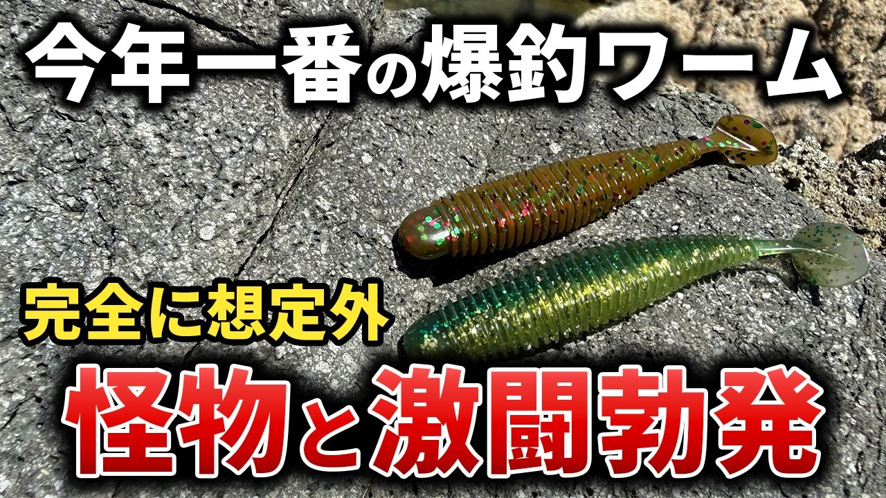 1軍確定】今年最強のロックフィッシュワームがマジで釣れる！そして