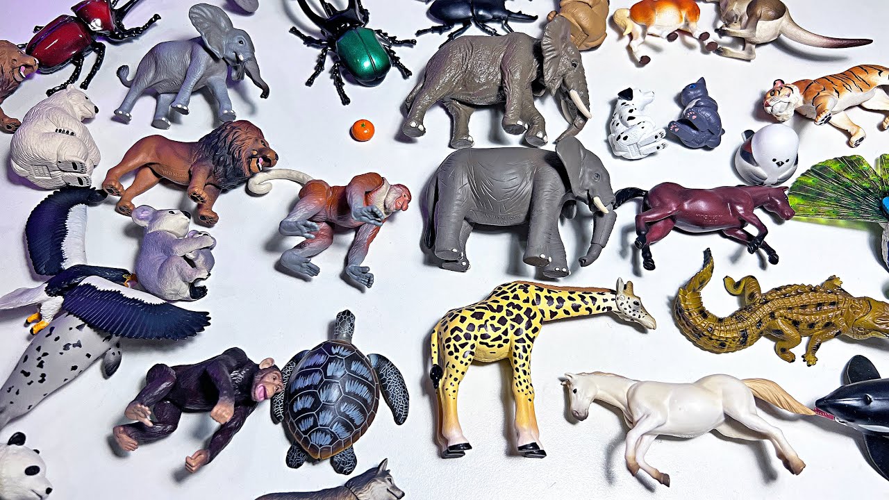 New Takara Tomy Animals - Lion, Giraffe, Elephant, Crocodile, Turtle, Orca,  Shark, Beluga, Penguin 