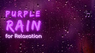 Purple Rain for Relaxation | Rain Series | Ambient Sound | What Else Is There