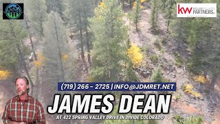 422 Spring Valley Drive Divide, CO For Sale