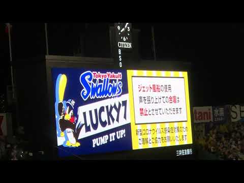 東京ヤクルトスワローズ✨ラッキーセブン｢東京音頭｣☂️☂☂️21.6.30甲子園