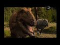 Dinosaur Planet Episodio 4 O Ovo De Alpha Parte 2 