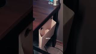 Transform Your Workspace with the Creator Lift Desk ✨