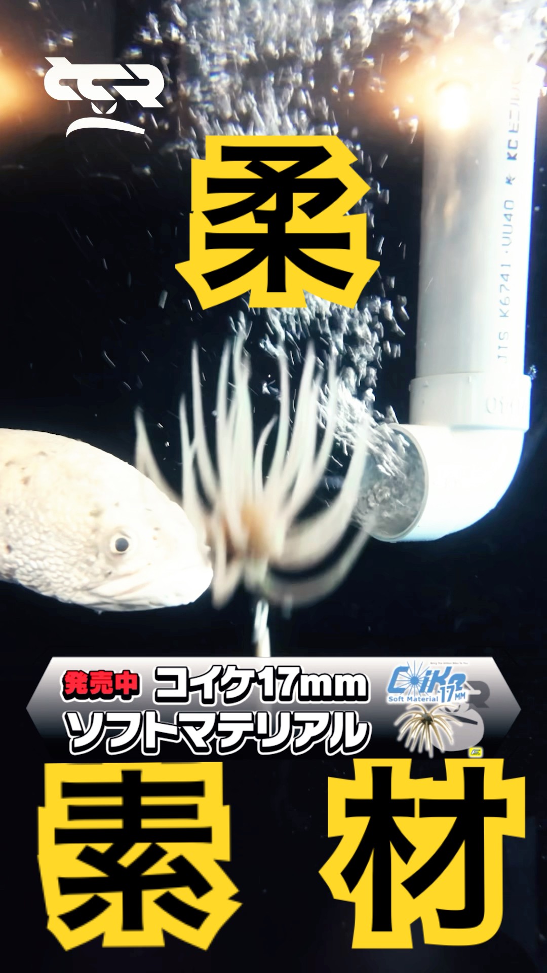 このコイケ、超柔素材につき。#たまらんばい永野 #バス釣り