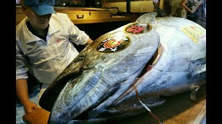 The biggest fish market in the world | Tsukiji | Japan