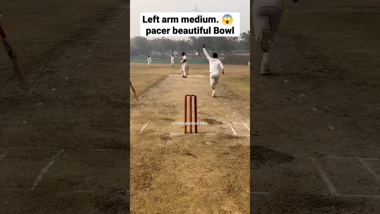 left arm medium pacer 