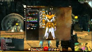 Guild Wars 2 - Armor Dye