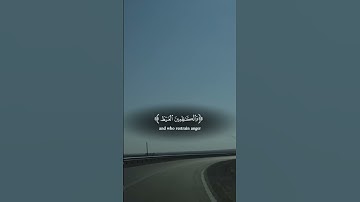 القران الكريم اجمل صوت 🫀🎧 #القرآن_الكريم #اكسبلور #هزاع_البلوشي #راحة_نفسية #foryou