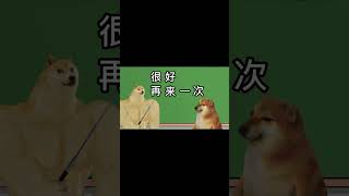 眼力测试挑战 #cheems #cheems小剧场#整活#搞笑