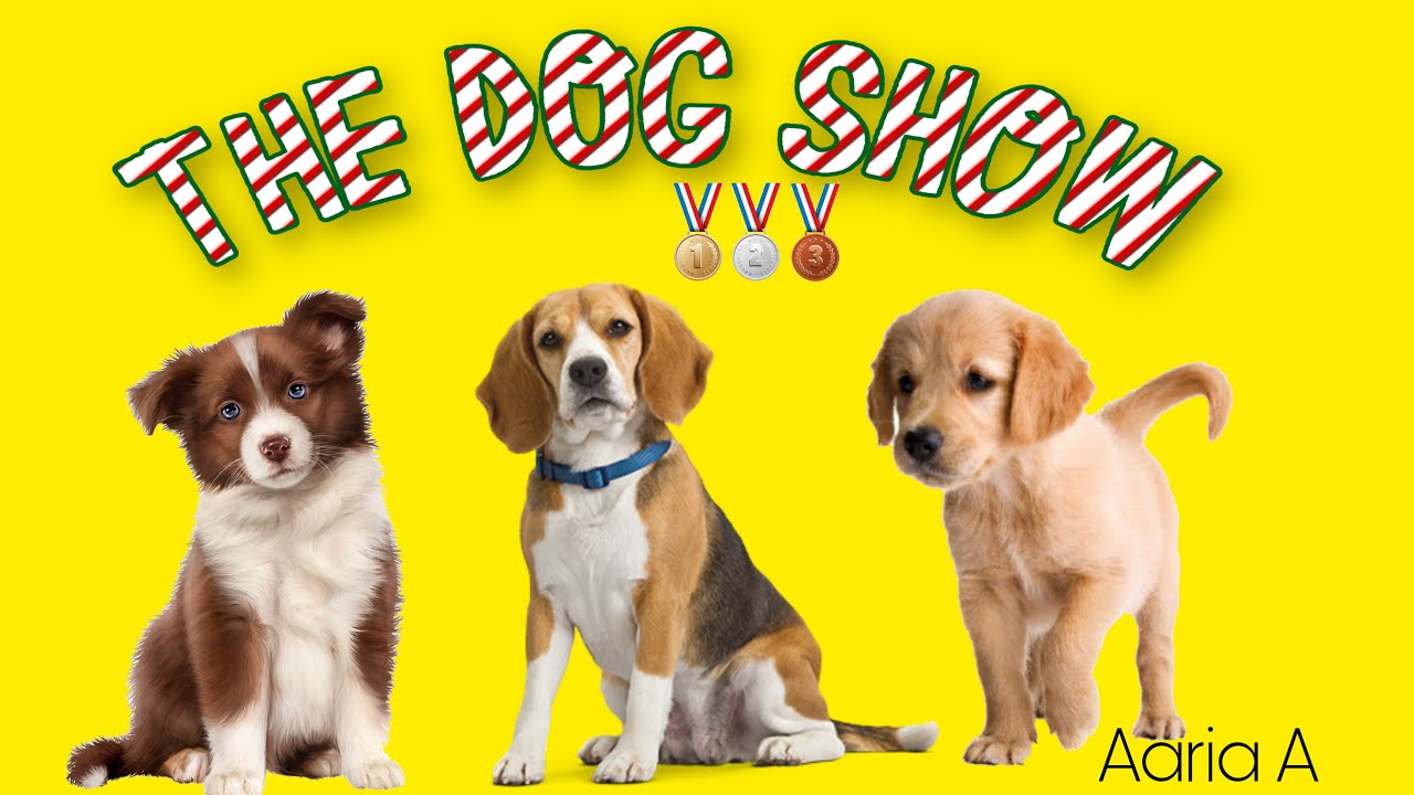 Learning Dog Show The Dog Show PART 2| Children stories | Read Aloud | Read Along | Learn ...