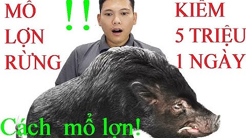 Theo chân thợ mổ thịt lợn rừng ngày tết - Kiếm 5 triệu 1 ngày