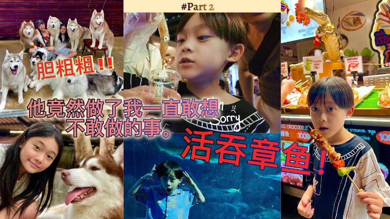 【曼谷 Bangkok🇹🇭 】Part #2 | Chocolate Ville SEALIFE  Husky Cafe Jodd Fairs | 巧克力村曼谷 曼谷海洋世界 哈士奇咖啡馆