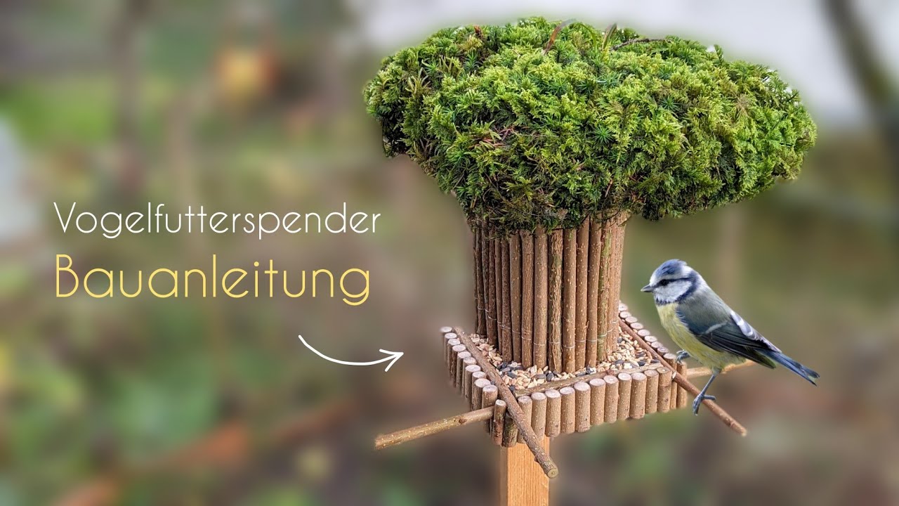 gleitmittel olivenöl Olivenöl Pilion BIO extra nativ kaltgepresst – Ölmühle Sauerland