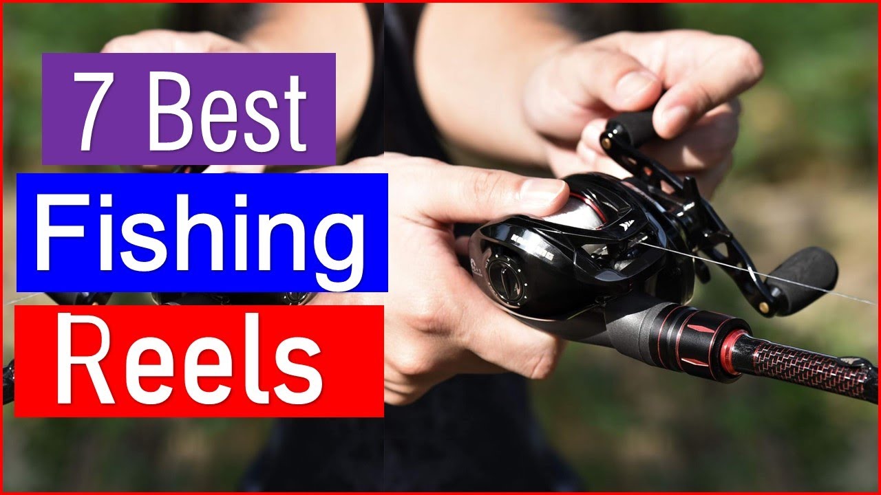Best Fishing Reels - 2026 | Top 7 Best Fishing Reels - Reviewed