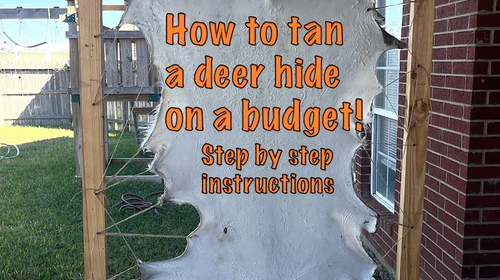 How to tan a deer hide on a budget (easy way step by step)