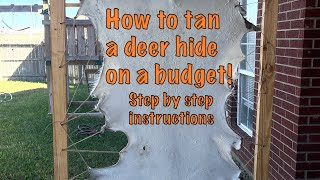 How to tan a deer hide on a budget (easy way step by step) screenshot 3