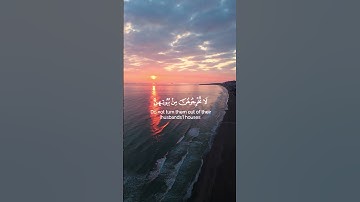 #القارئ_طارق_محمد #سورة_الطلاق #قرآن #اللهم_صل_على_سيدنا_محمد #لا_اله_الا_الله #quransbeauty1