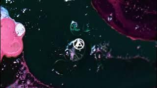 From Zero (Intro) (A Cappella) - Linkin Park