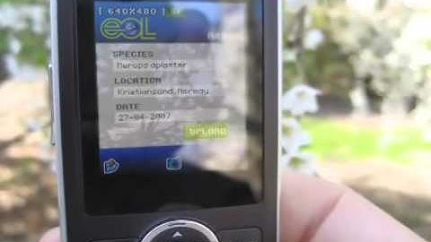 The Encyclopedia of Life