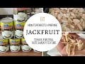 How to Perfectly Prepare Jackfruit So its Neutral in Taste | SaharBelle  Ep.21