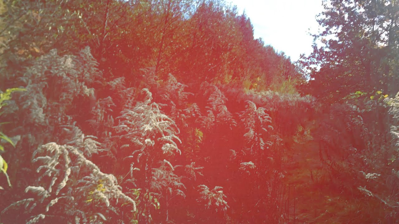 Silver Birch - Yourself (Official Video) auf YouTube ansehen Silver Birch - Yourself (Official Video) auf YouTube ansehen
