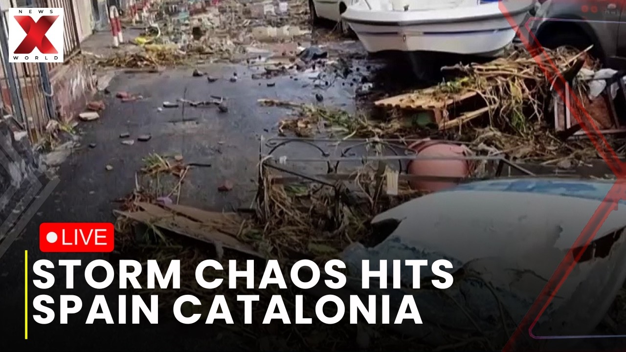 Spain Storm Alert LIVE : Strong Winds Topple Trees in Catalonia as Spain on High Alert | NewsX World