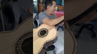 guitarrón problemas con un sumbido