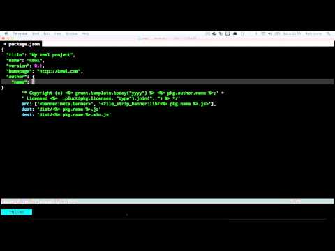 How To Code: Grunt 2 - Package.json