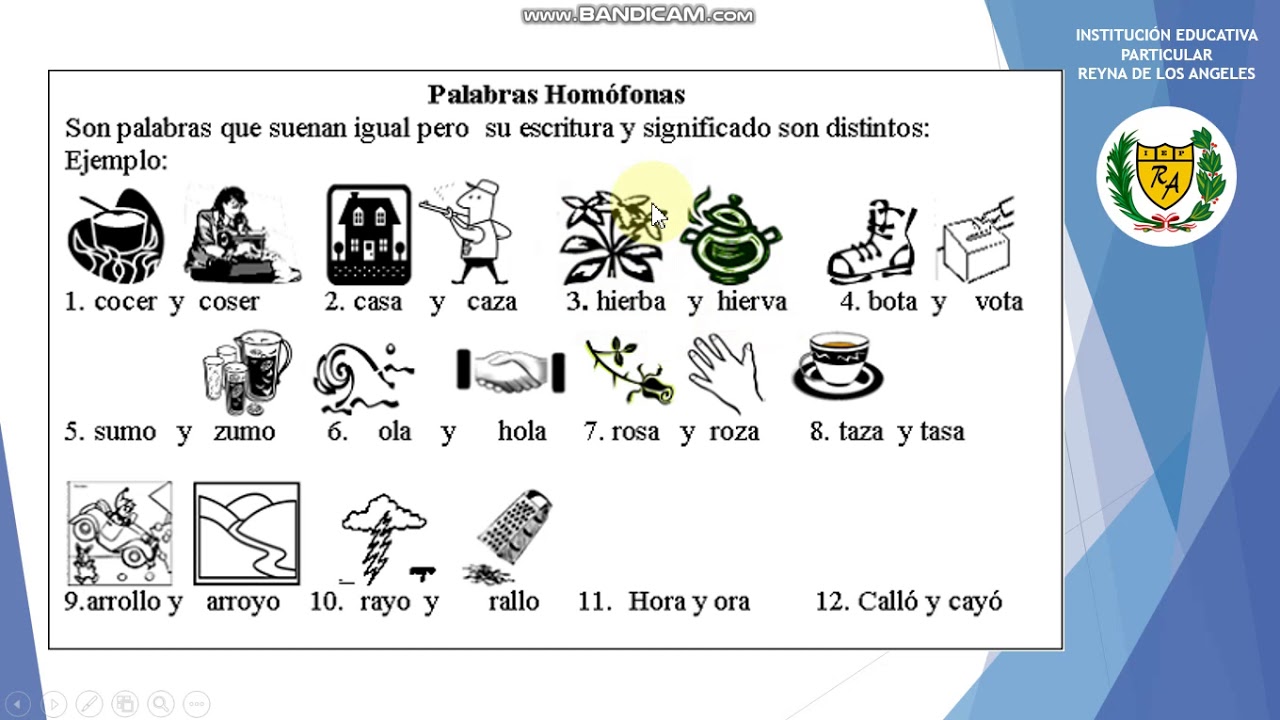 Sustantivos Homonimos Ejemplos