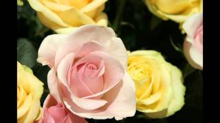 Music:Free TEMPO~Kindly feat.Mari Mizuno(Paris Match) http://www.yo...
