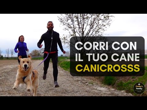 Video: Cani Ansimanti: Perché il tuo cane lo fa?