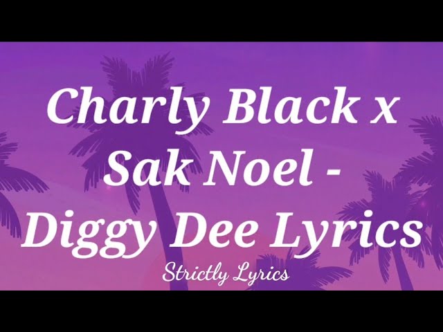 Charly Black x Sak Noel - Diggy Dee Lyrics class=