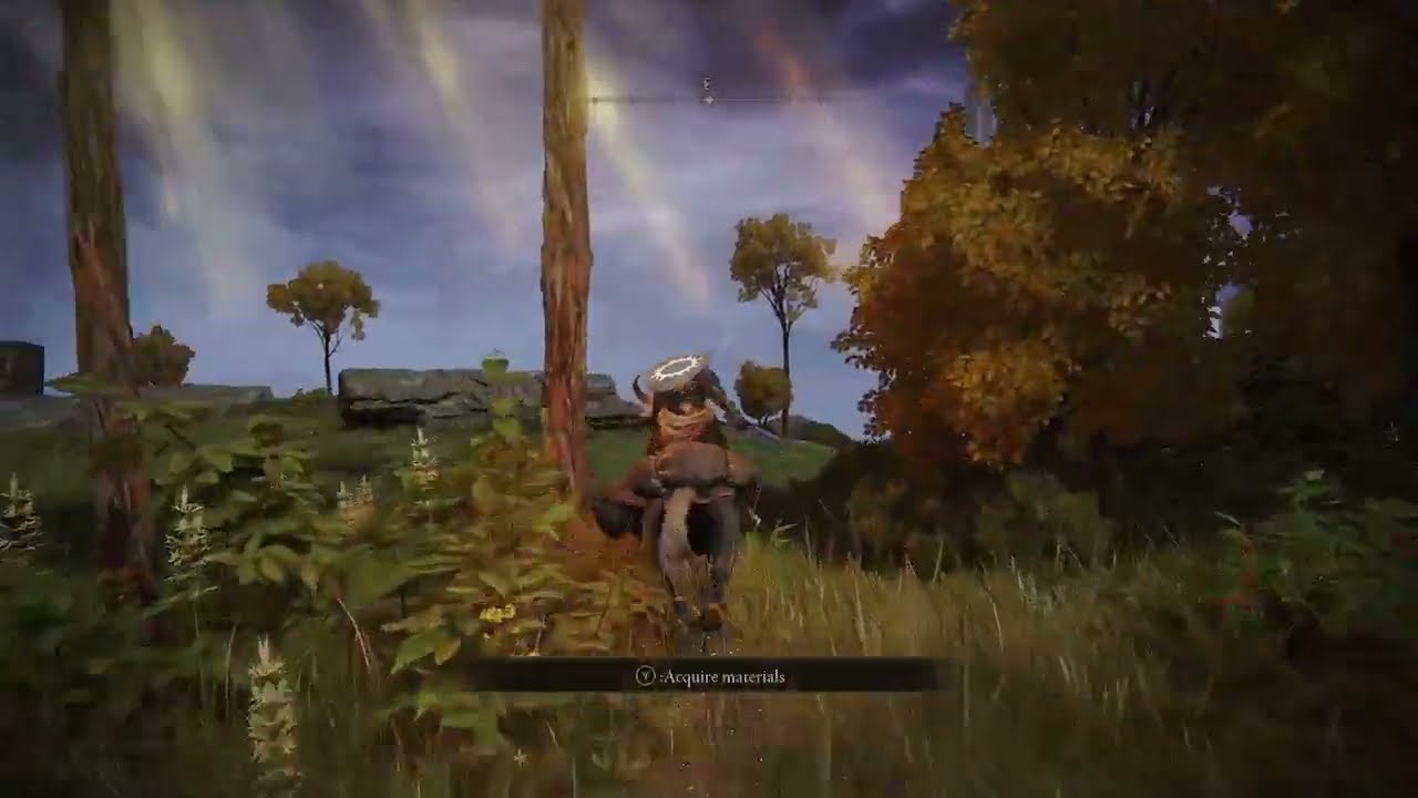 Cliffbottom Catacombs Location | Elden Ring