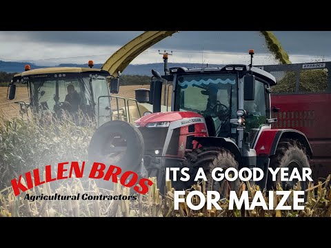 Killen Bros | 2025 Maize is good!
