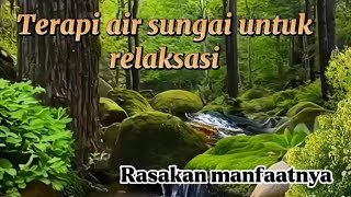 Suara Air Cocok Untuk Relaksasi  Terapi Burung Macet Bunyi Orang Susah Tidur